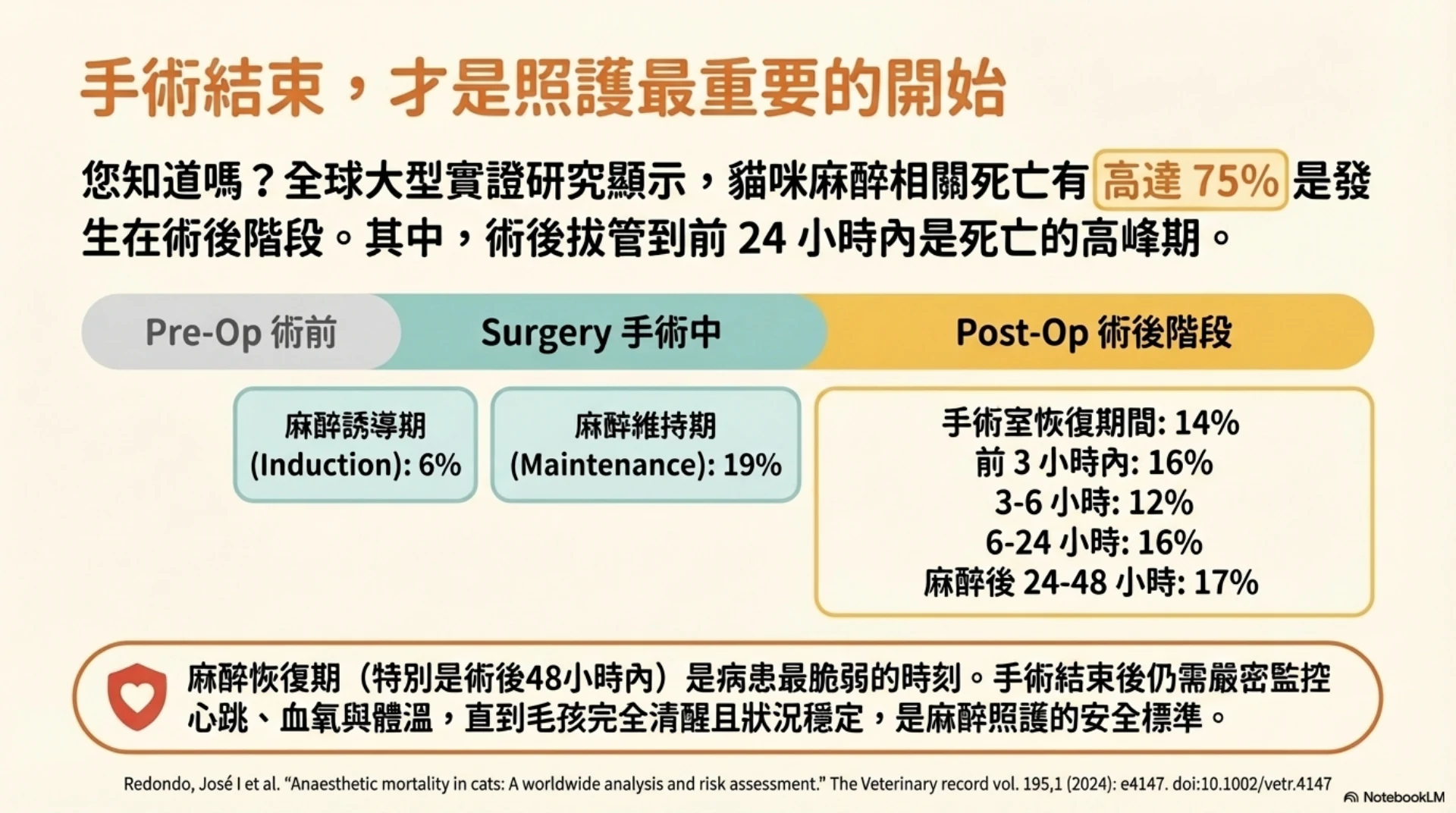 毛孩麻醉安全旅程第 11 頁：貓術後監測的重要性