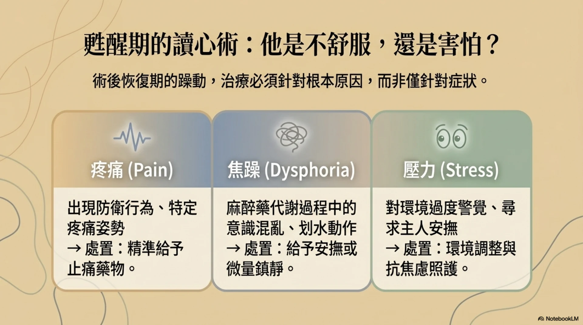 毛孩麻醉安全旅程第 13 頁：疼痛焦慮與甦醒狀態辨識