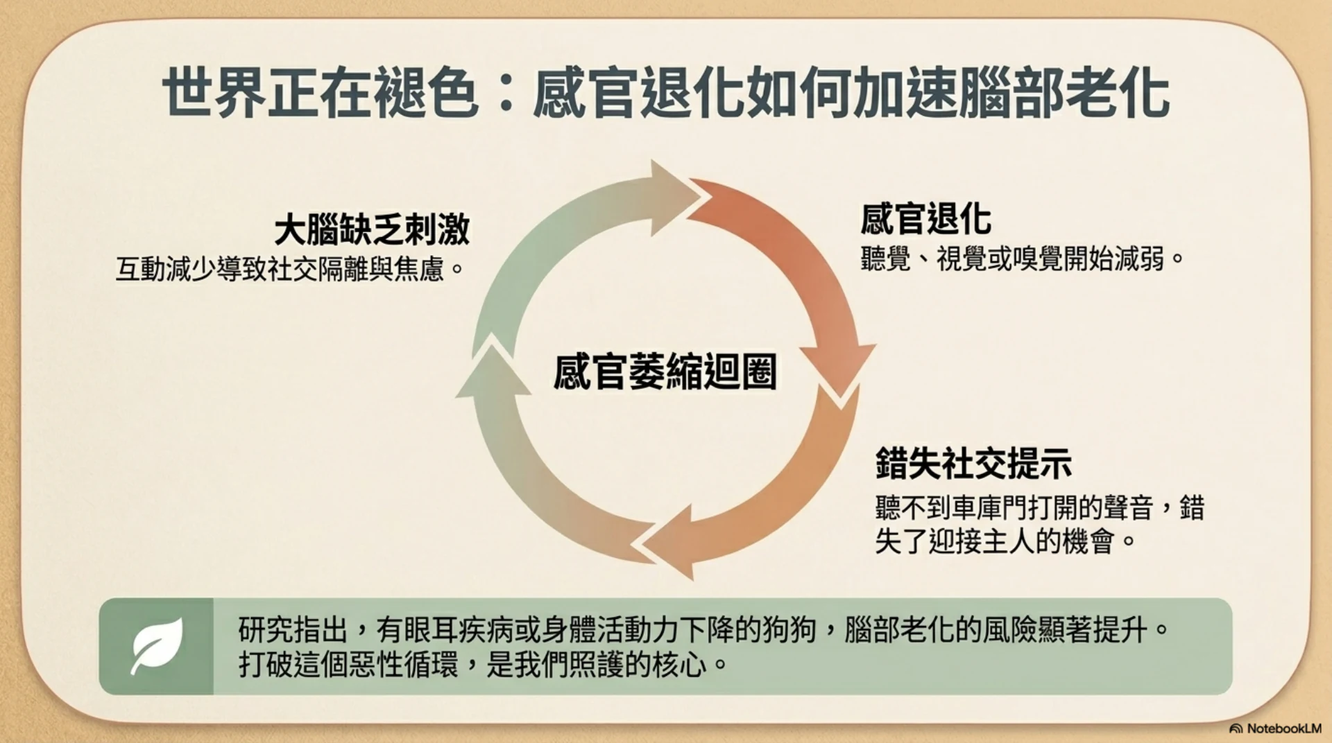高齡犬貓認知照護第 5 頁：感官退化與腦部老化循環
