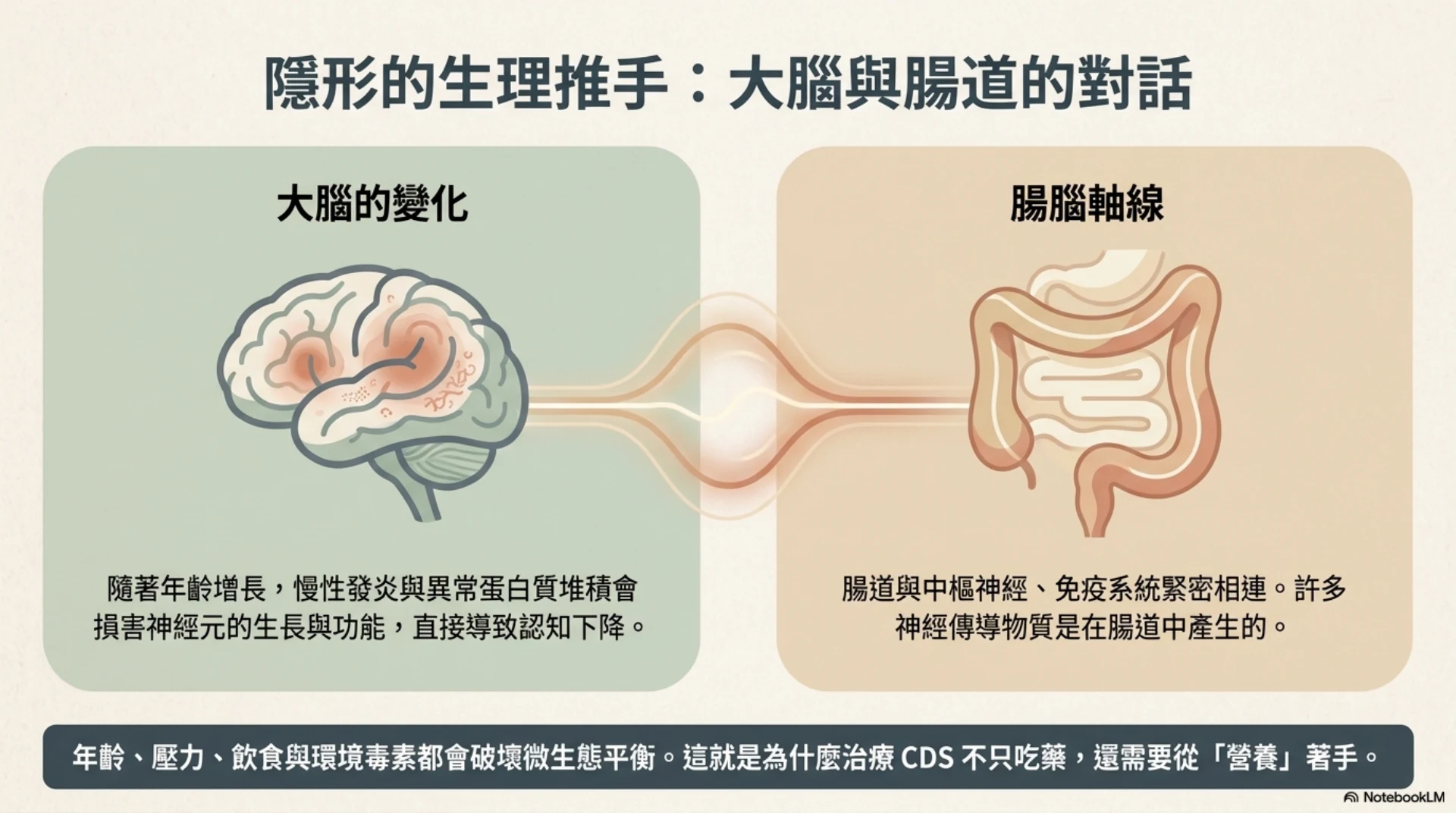 高齡犬貓認知照護第 6 頁：大腦與腸道的生理互動