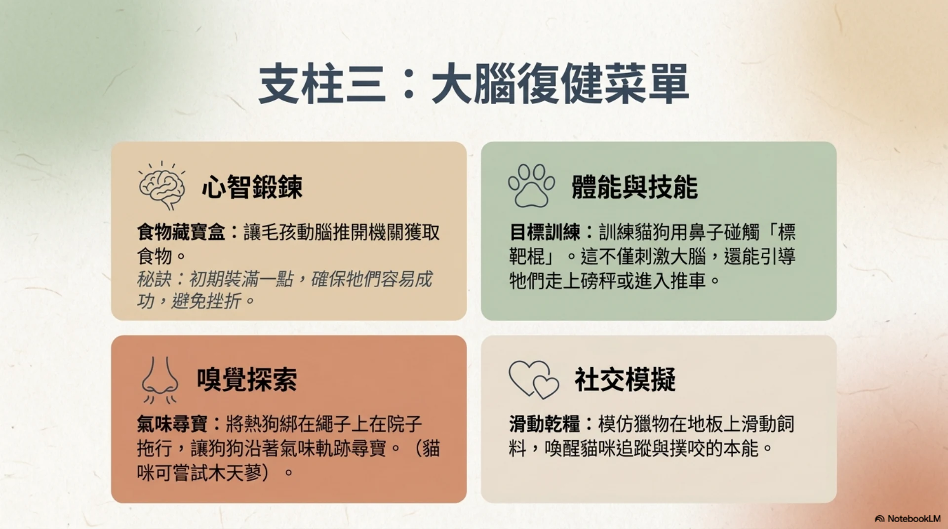 高齡犬貓認知照護第 11 頁：認知與體能活動菜單