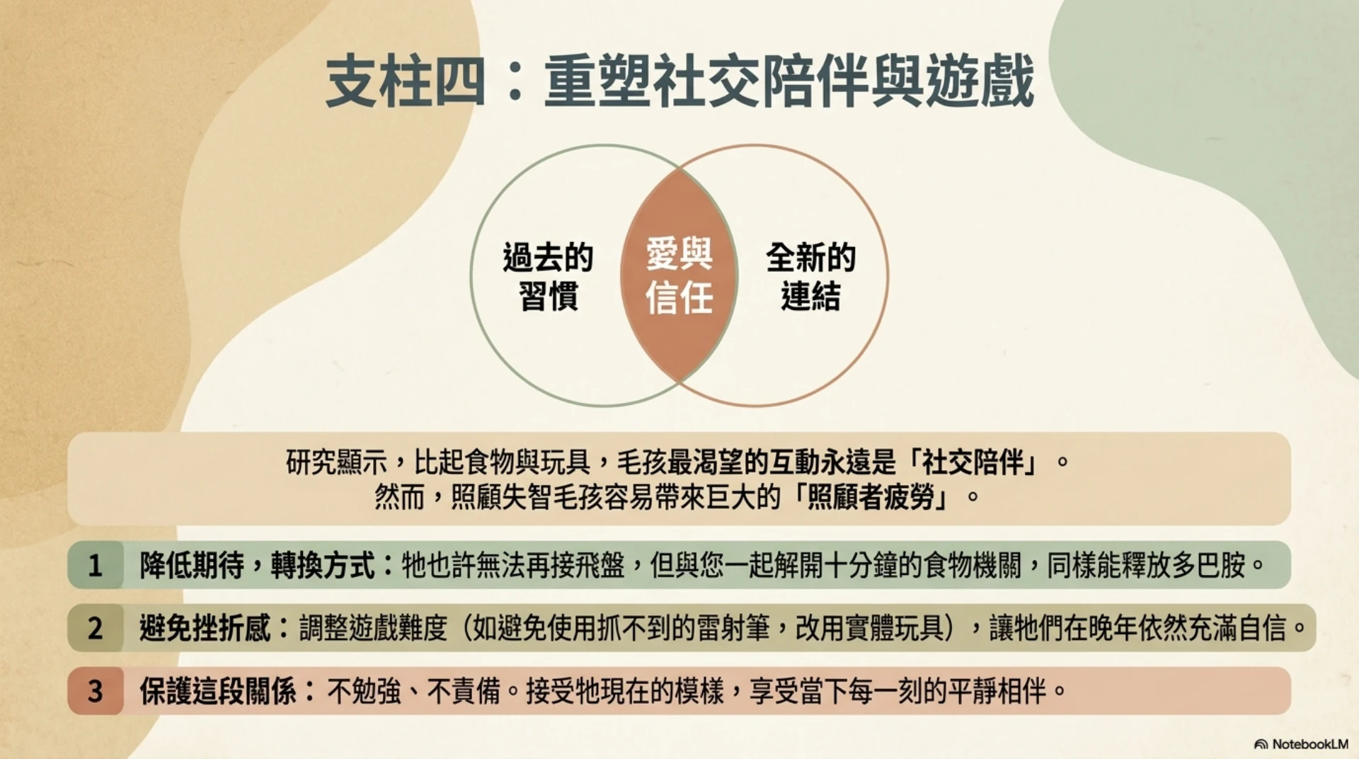 高齡犬貓認知照護第 14 頁：社交陪伴與遊戲