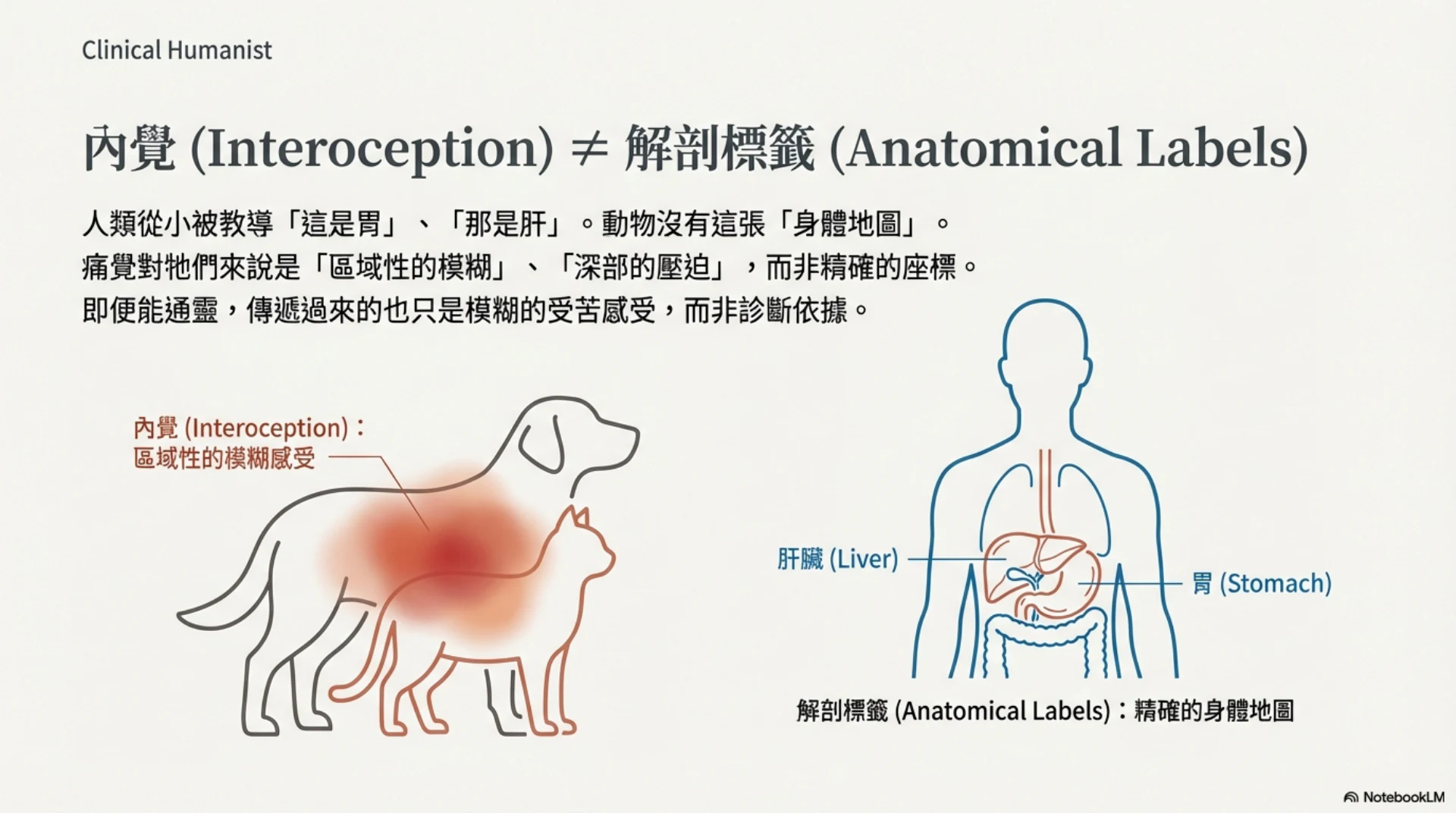寵物疼痛的無聲語言第 6 頁：內感覺不等於解剖標籤