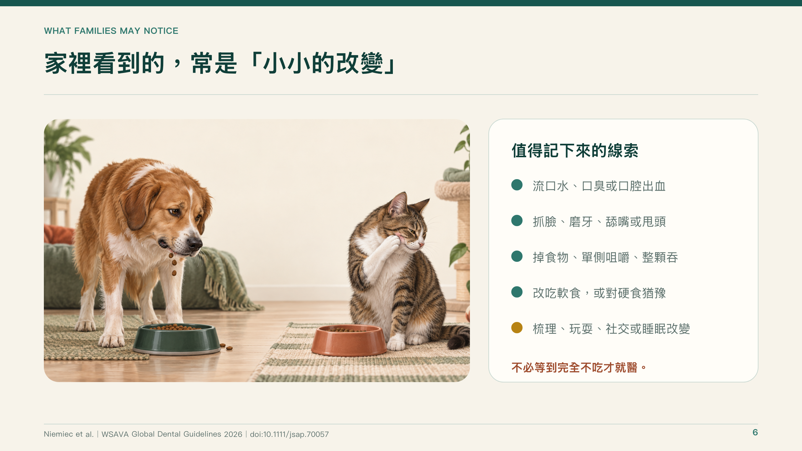 犬貓口腔健康指引導讀第 6 頁：家裡可能看到的細微變化