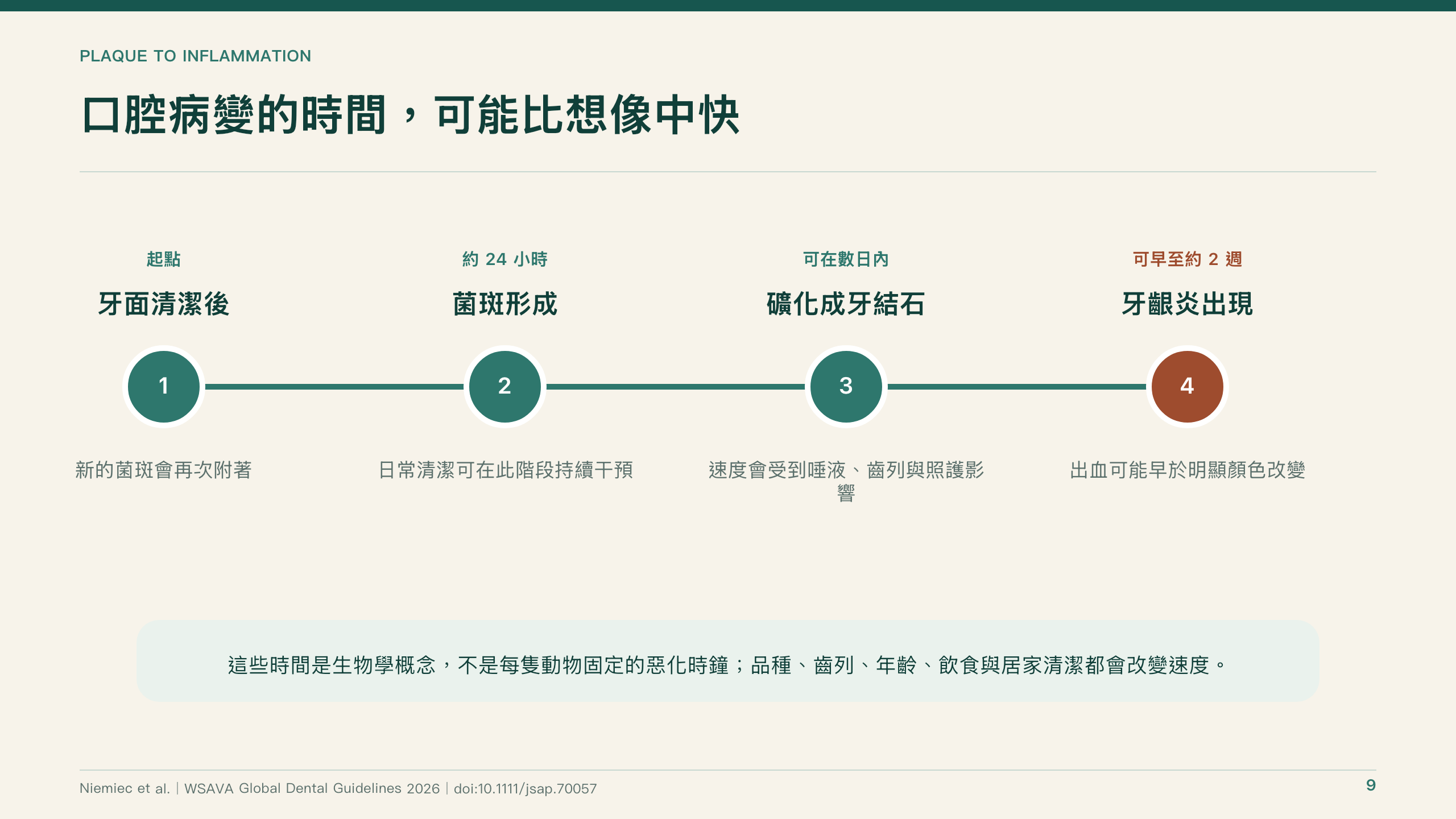 犬貓口腔健康指引導讀第 9 頁：口腔病變可能比想像中進展得快
