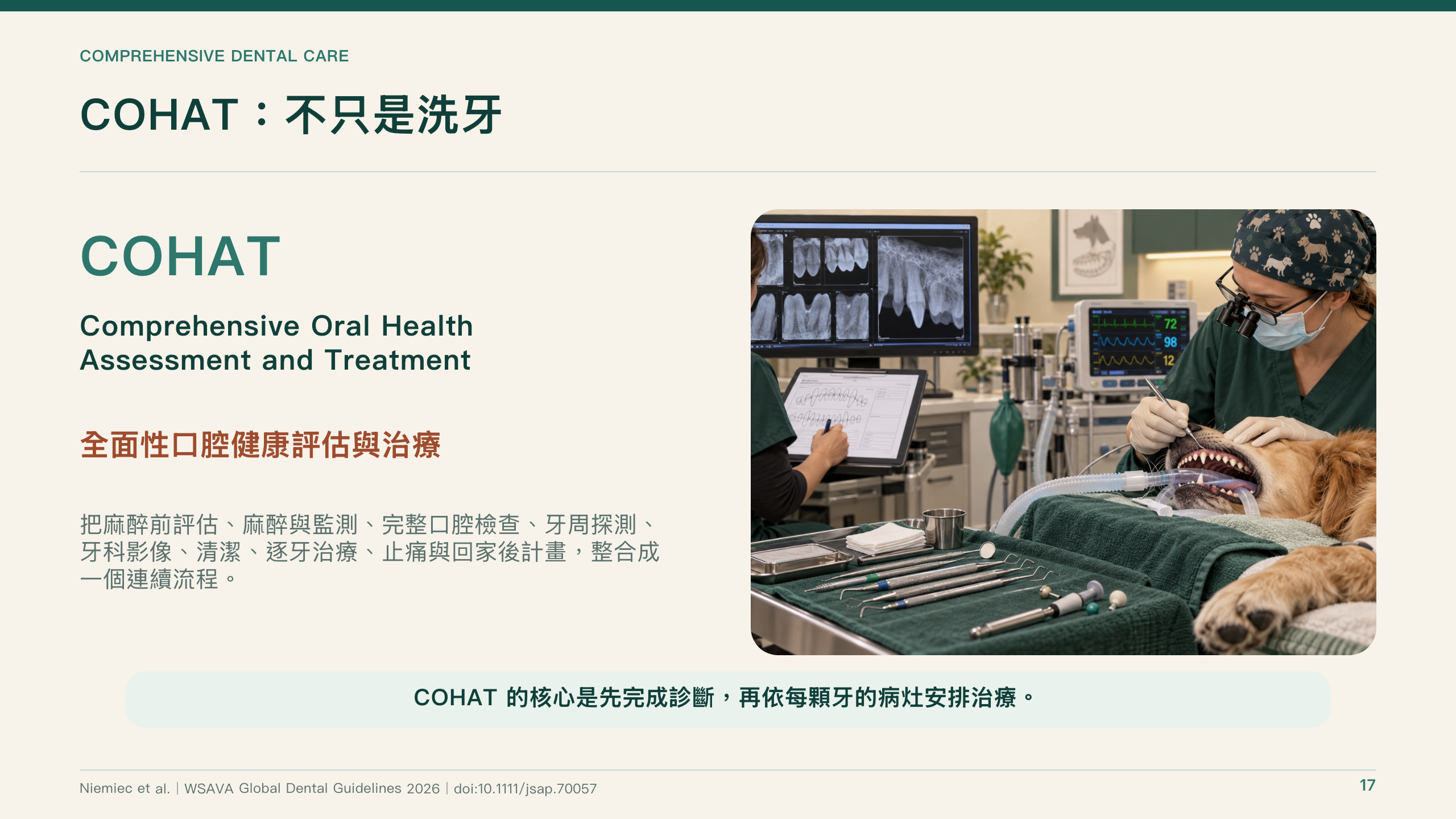 犬貓口腔健康指引導讀第 17 頁：COHAT：全面性口腔健康評估與治療