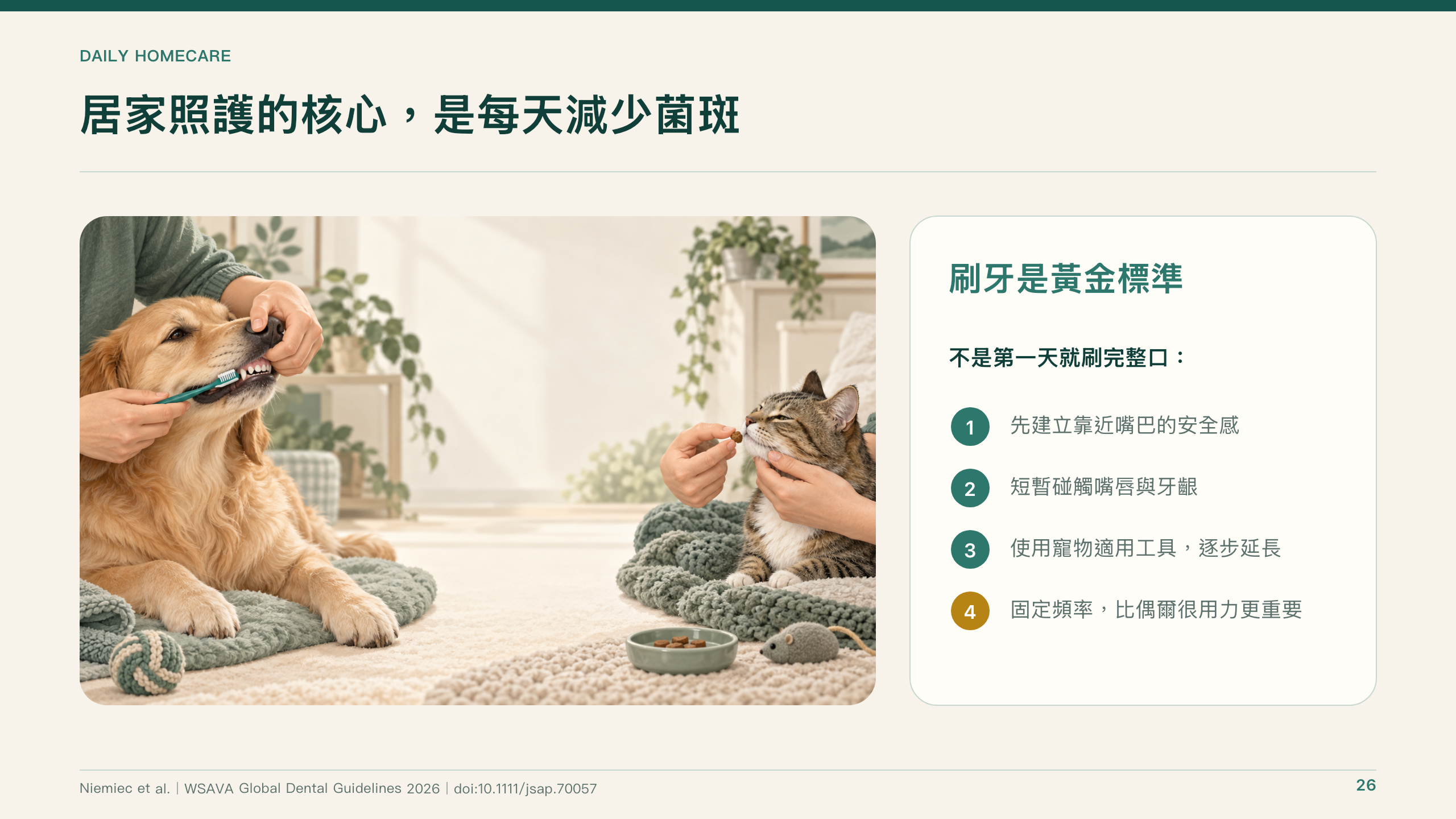 犬貓口腔健康指引導讀第 26 頁：居家照護與每天減少菌斑
